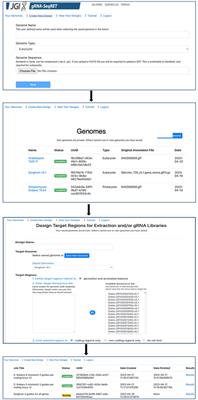 gRNA-SeqRET: a universal tool for targeted and genome-scale gRNA design and sequence extraction for prokaryotes and eukaryotes